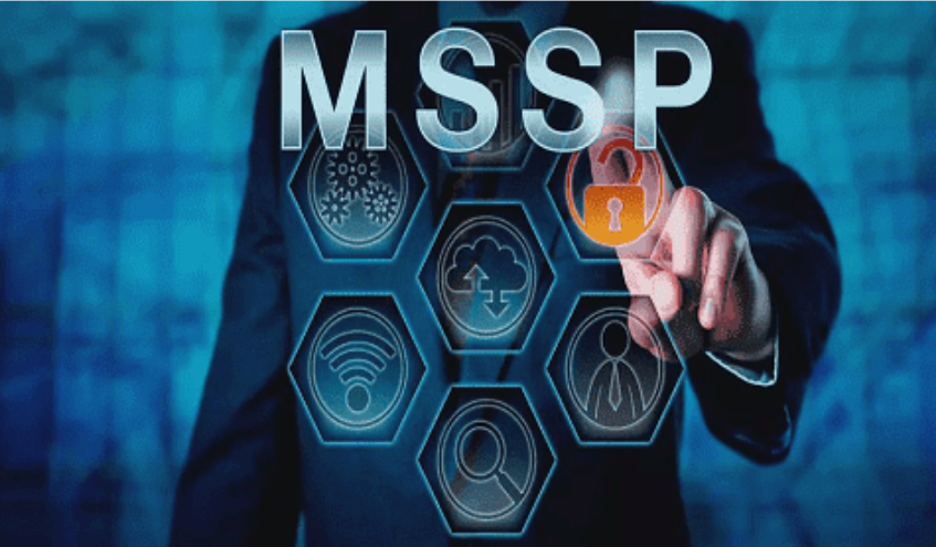 Managed Security Services Provider MSSP