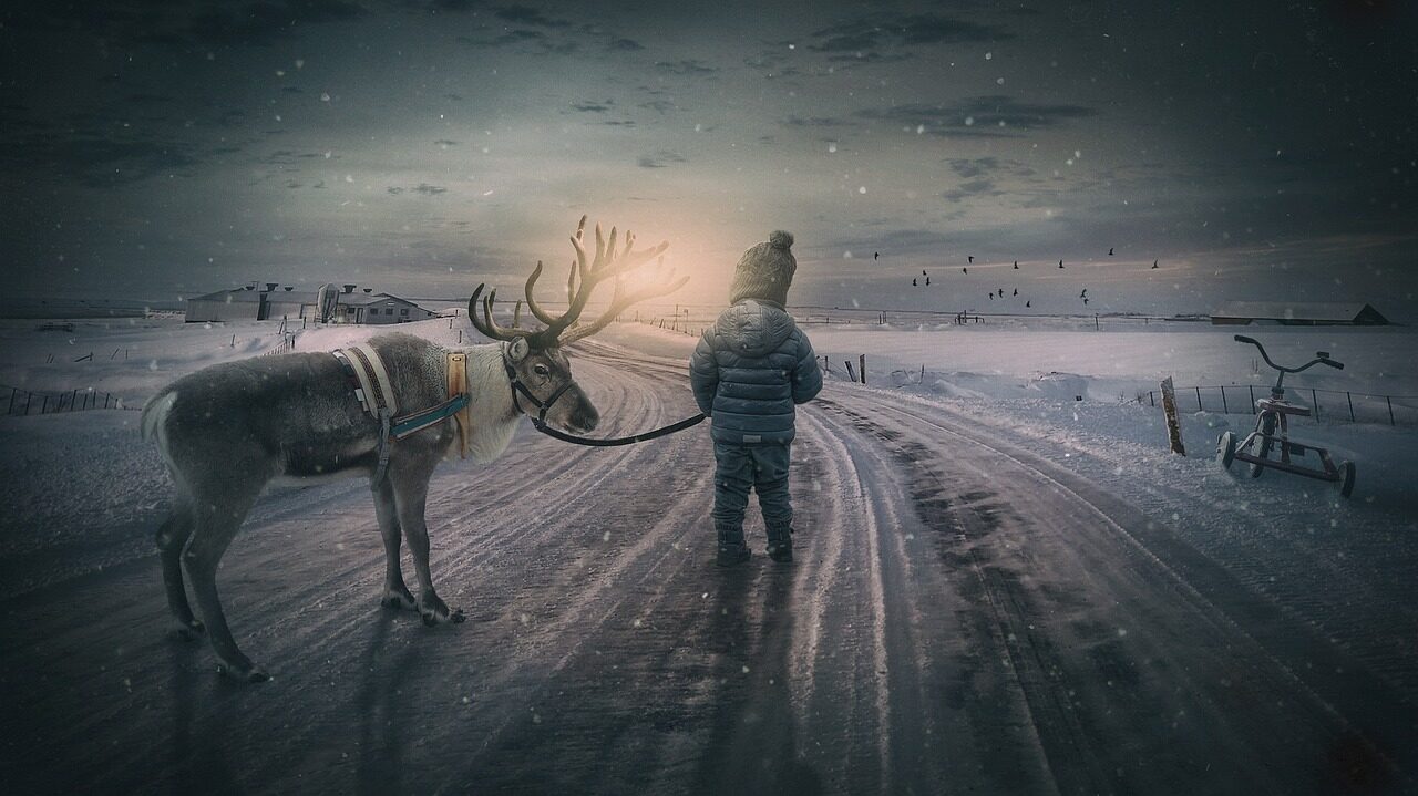 winter landscape, reindeer, boy, fairytale, small child, landscape, nature, moose, snow, evening atmosphere, sunset, composing, child, fantasy, dream, dreams